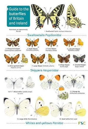Seller image for Butterflies of Britain and Ireland (WildID) for sale by WeBuyBooks