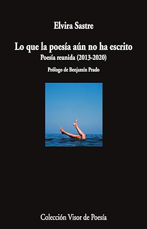 Seller image for Lo que la poesa an no ha escrito. for sale by Librera PRAGA