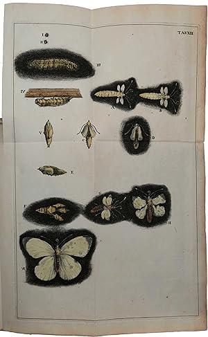 Historia insectorum generalis; ofte, algemeene verhandeling der bloedeloose dierkens