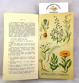 Illustriertes Taschenbuch der Gift- und Heilpflanzen. ( Deckeltitel). Die Gift- und Heilpflanzen ...