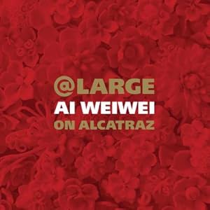 Bild des Verkufers fr At Large : AI Weiwei on Alcatraz zum Verkauf von AHA-BUCH GmbH