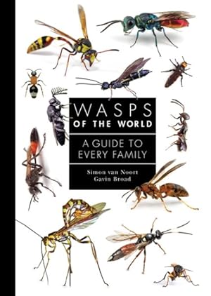 Immagine del venditore per Wasps of the World : A Guide to Every Family venduto da GreatBookPrices