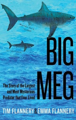 Seller image for Big Meg : The Story of the Largest and Most Mysterious Predator That Ever Lived for sale by GreatBookPrices