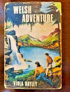 Seller image for WELSH ADVENTURE for sale by Happyfish Books