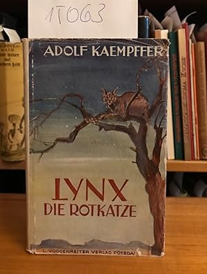 Bild des Verkufers fr Lynx die Rotkatze. Eine Tiergeschichte aus Deutsch-Sdwest. zum Verkauf von Antiquariat Welwitschia Dr. Andreas Eckl