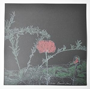 Daniel Lang colour lithograph of a red poppy printed on black paper. 10/ 25 copies