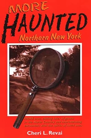 Immagine del venditore per More Haunted Northern New York venduto da Bulk Book Warehouse