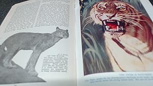 Imagen del vendedor de Wild Life of Our World a la venta por BoundlessBookstore