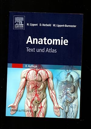 Seller image for Herbert Lippert, Anatomie - Text und Atlas - Deutsche und lateinische Bezeichnungen for sale by sonntago DE