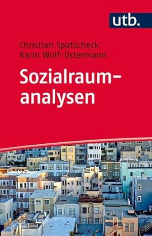 Seller image for Sozialraumanalysen for sale by primatexxt Buchversand