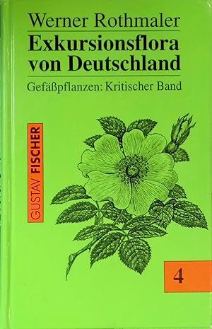 Immagine del venditore per Exkursionsflora von Deutschland; Bd. 4., Gefsspflanzen : kritischer Band. venduto da books4less (Versandantiquariat Petra Gros GmbH & Co. KG)