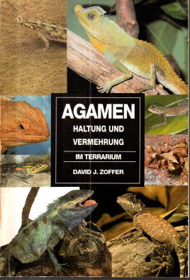 Image du vendeur pour Agamen. Haltung und Vermehrung im Terrarium. mis en vente par Leonardu
