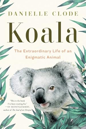 Seller image for Koala : The Extraordinary Life of an Enigmatic Animal for sale by GreatBookPrices