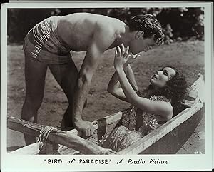 Immagine del venditore per Bird of Paradise 8 X 10 Still 1932 Dolores Del Rio, Joel McCrea venduto da AcornBooksNH