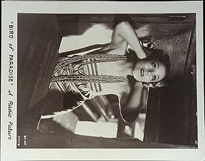 Imagen del vendedor de Bird of Paradise 8 X 10 Still 1932 Dolores Del Rio, Joel McCrea a la venta por AcornBooksNH
