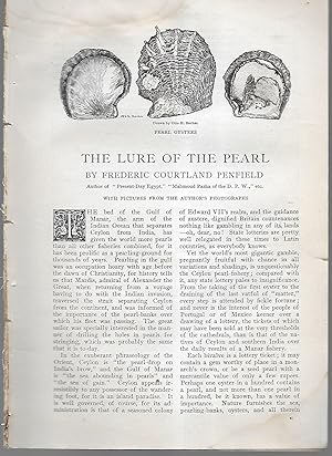 Seller image for The Lure Of The Pearl for sale by Legacy Books II