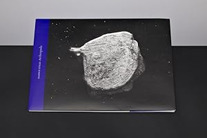 Image du vendeur pour Harold Strak - Arthropoda mis en vente par Amstelbooks
