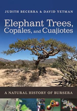 Immagine del venditore per Elephant Trees, Copales, and Cuajiotes : A Natural History of Bursera venduto da GreatBookPrices
