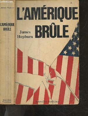 Imagen del vendedor de L'amerique brule a la venta por Le-Livre