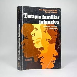 Seller image for Terapia Familiar Intensiva Boszormenyi Framo 1988 Cb2 for sale by Libros librones libritos y librazos