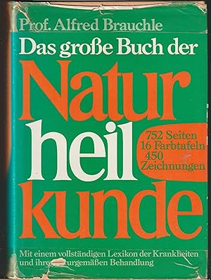 Immagine del venditore per Das groe Buch der Naturheilkunde venduto da BuchSigel