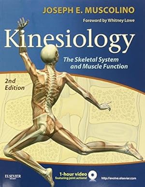 Immagine del venditore per Kinesiology: The Skeletal System and Muscle Function venduto da WeBuyBooks