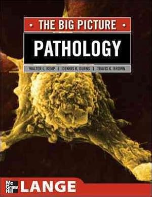 Seller image for Pathology : The Big Picture for sale by GreatBookPricesUK