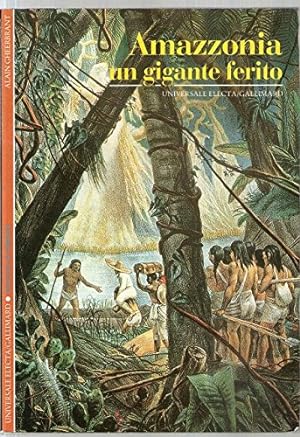 Seller image for Amazzonia. Un gigante ferito for sale by librisaggi