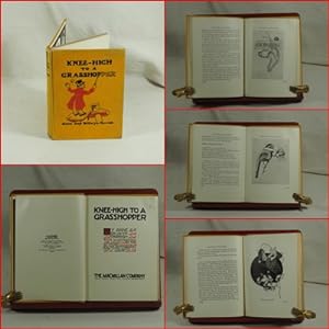 Seller image for Knee-High to a Grasshopper. With illustrations by the Authors & a few Photographs from little Man's Album. for sale by terrahe.oswald