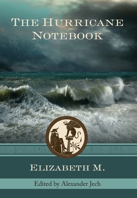 Image du vendeur pour The Hurricane Notebook: Three Dialogues on the Human Condition (Hardback or Cased Book) mis en vente par BargainBookStores