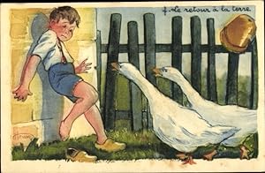 1878 Schwan, Flamingo, Merganser Ente, Cape Barren Gans Original Antiker  Druck Gerahmt Vogel Viktorianisches Dekor - .de