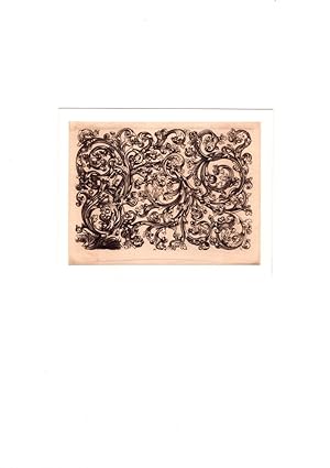 Bild des Verkufers fr Querfllung mit Rasenbscheln | Grassy Ornament | Rinceau d' Ornements. Heliogravre von Charles Amand-Durand nach einem Kupferstich von Martin Schongauer (um 1480). zum Verkauf von Antiquariat Reinhold Pabel