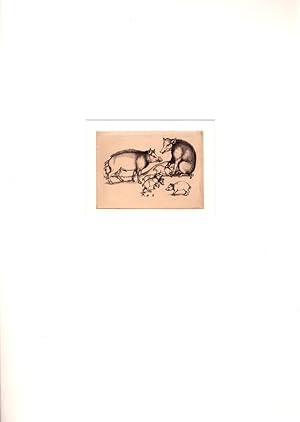 Bild des Verkufers fr Die Schweine | The Pig Family | Les Cochons. Heliogravre von Charles Amand-Durand nach einem Kupferstich von Martin Schongauer (um 1480). zum Verkauf von Antiquariat Reinhold Pabel