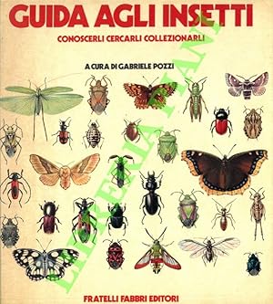 Guida agli insetti.Conoscerli cercarli collezionarli.