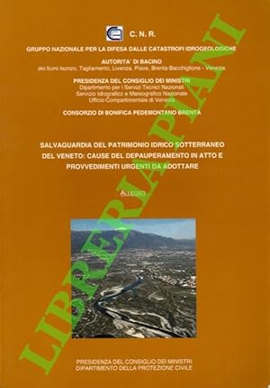 Salvaguardia del patrimonio idrico sotterraneo del Veneto: cause del depauperamento in atto e pro...