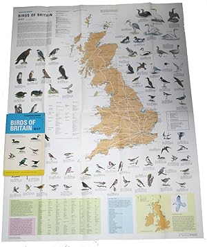 Bild des Verkufers fr Birds of Britain Map (Bartholomew Nature Series) zum Verkauf von PEMBERLEY NATURAL HISTORY BOOKS BA, ABA