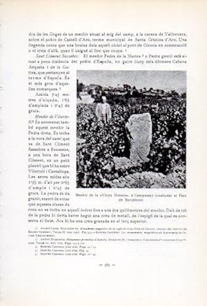 Seller image for LAMINA V34675: Menhir de la Vinya Munera a Capmany for sale by EL BOLETIN