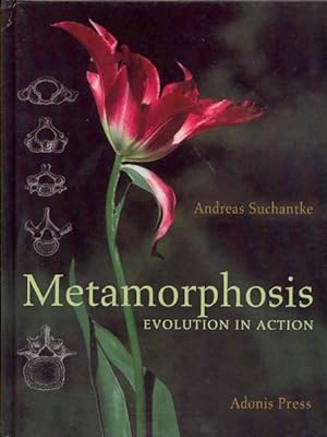 Seller image for Metamorphosis : Evolution in Action for sale by GreatBookPricesUK