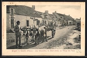 Carte postale Brigueil-le-Chantre, Les Chaumières du Haut-Poitou au Village des Vaux