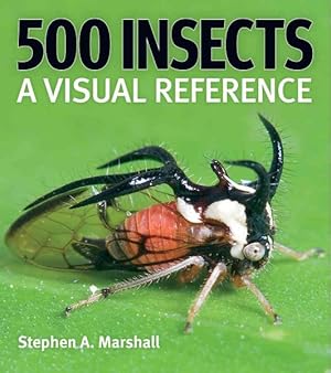 Seller image for 500 Insects : A Visual Reference for sale by GreatBookPricesUK