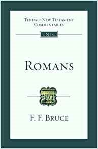 Imagen del vendedor de Romans : An Introduction and Survey a la venta por GreatBookPricesUK