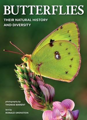 Bild des Verkufers fr Butterflies : Their Natural History and Diversity zum Verkauf von GreatBookPricesUK