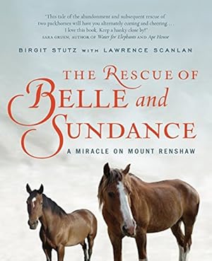 Seller image for The Rescue Of Belle And Sundance by Stutz, Birgit, Scanlan, Lawrence [Paperback ] for sale by booksXpress
