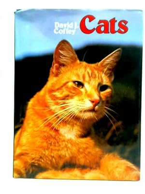 Imagen del vendedor de Cats a la venta por World of Rare Books
