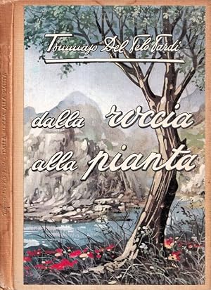 Dalla roccia alla pianta Come si forma il terreno produttivo