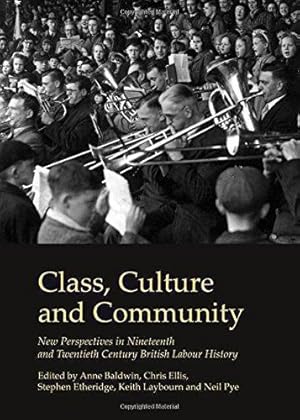 Immagine del venditore per Class, Culture and Community: New Perspectives in Nineteenth and Twentieth Century British Labour History venduto da WeBuyBooks