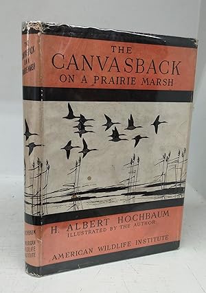 The Canvasback on a Prairie Marsh