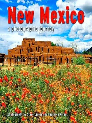 Seller image for New Mexico for sale by Collectors' Bookstore