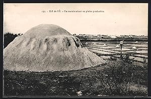 Carte postale Ile de Ré, Un marais salant en pleine production