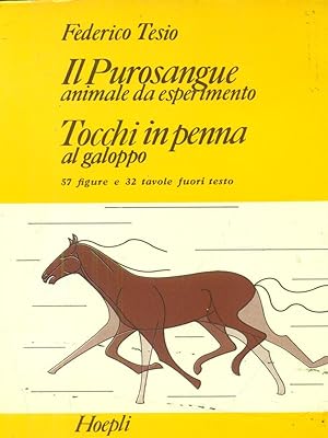 Seller image for Jamie's in Italy - in lingua inglese for sale by Librodifaccia